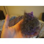 Szőrápoló cica fésű