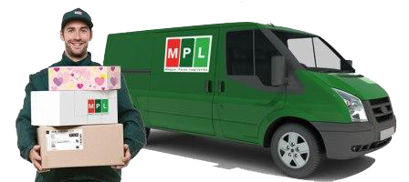 mpl_api mpl_api